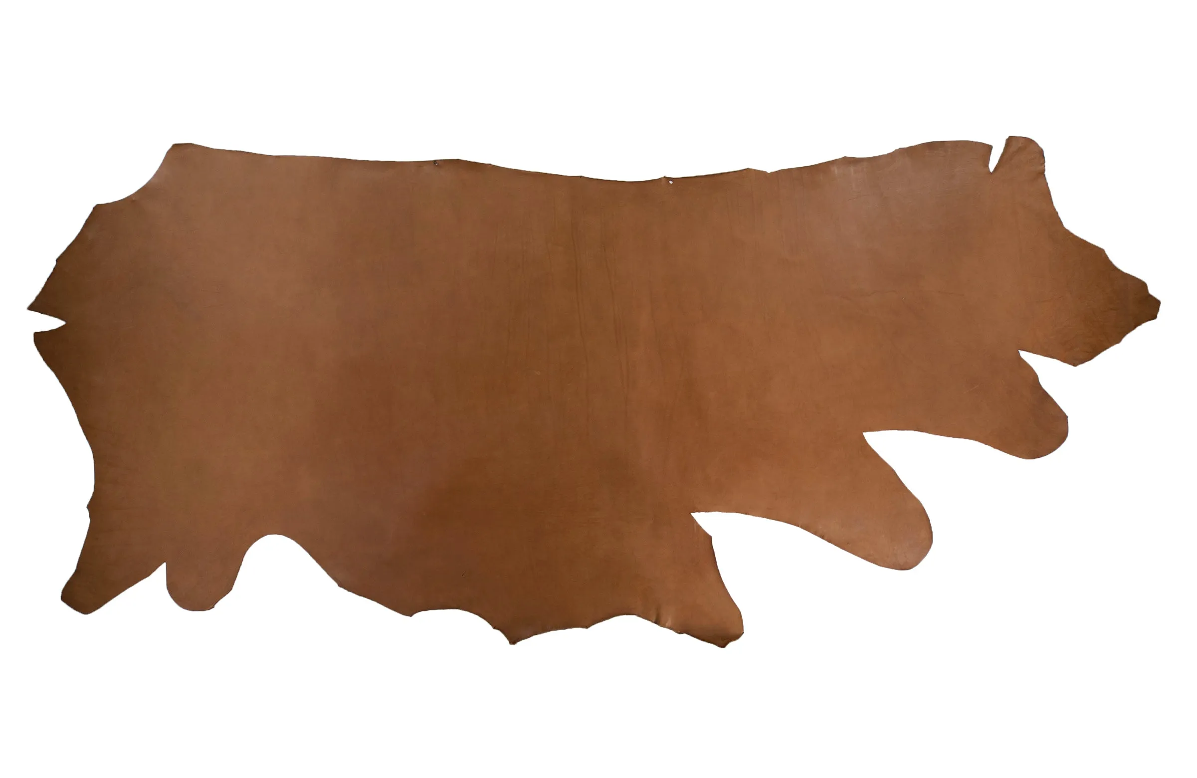 Sienna Holster Strap